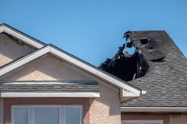 Top rated local Fire Damage Removal specialists in Lebanon, KY